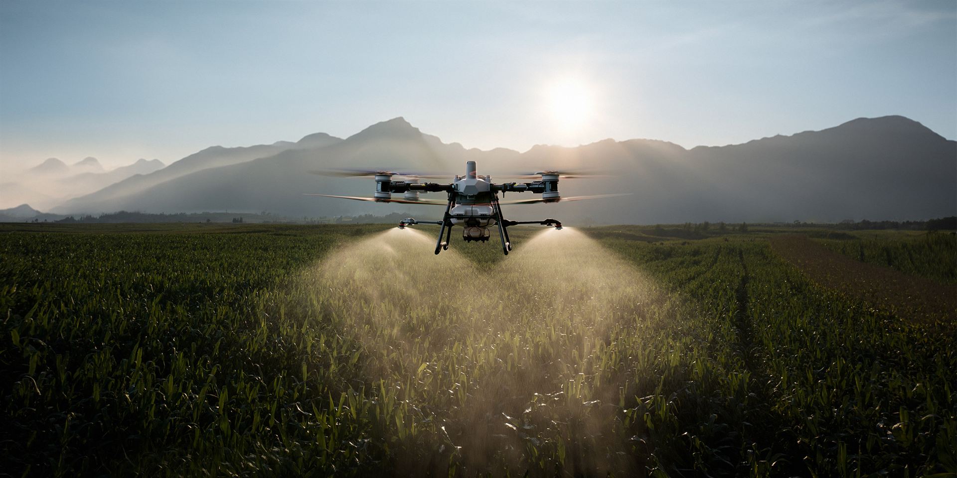 Drone agrícola DJI Agras T100 pulverizando uma lavoura de milho ao amanhecer, com serra ao fundo